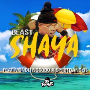 BEAST - Shaya (feat. Mondli Ngcobo & Spiritbanger), new amapiano music, latest sa music, amapiano songs, amapiano 2019, amapiano mp3 download