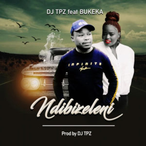 DJ TPZ - Ndibizeleni (feat. Bukeka)