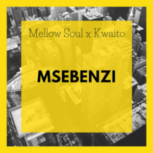 Mellow Soul & Kwaito - Msebenzi (Original Mix)