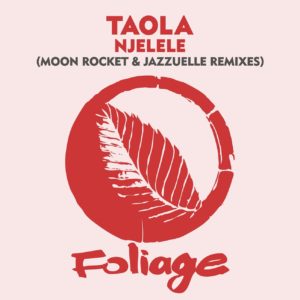 Taola - Njelele (Jazzuelle Darkside Mix), latest afro house music, afro house 2019, house music download, new afro house songs