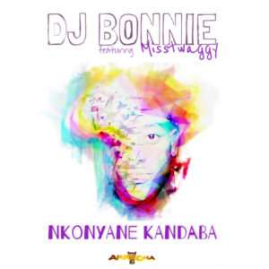 DJ Bonnie feat. Misstwaggy - Nkonyane Kandaba (Original Mix)