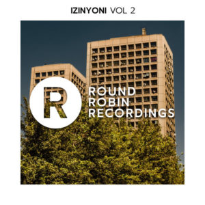 VA - Izinyoni Vol. 2