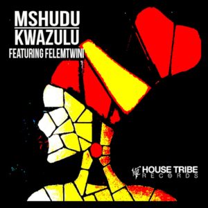 Mshudu - KwaZulu (feat. Felemtwini)