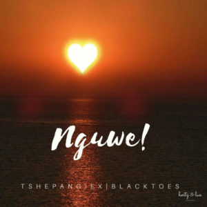Tshepang & Black Toes SA - Nguwe (feat. Xwelking)
