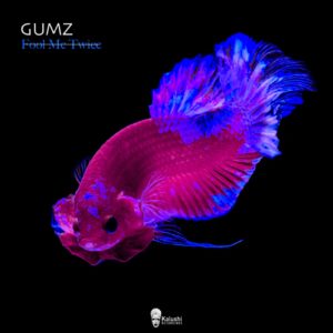 Gumz - Fool Me Twice EP