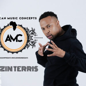 Bekzin Terris - HouseWednesdays Mix Vol.2