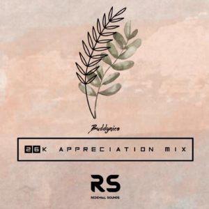 Buddynice - 26K Appreciation Mix (Redemial Sounds)