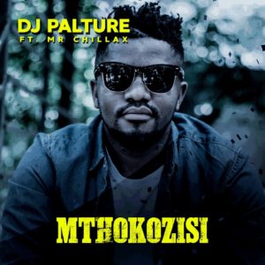 DJ Palture - Mthokozisi (feat. Mr. Chillax)