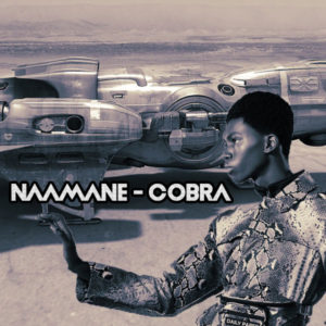 NAAMANE - Cobra