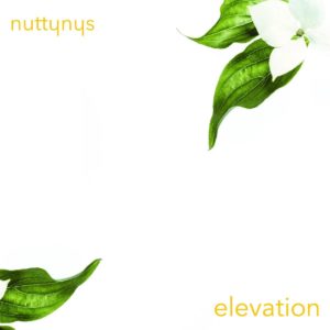 Nutty Nys - Elevation