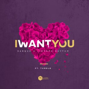 Darque & Limpopo Rhythm - I Want You (feat. Tumelo)