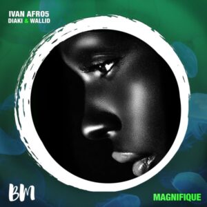 Diaki, Wallid & Ivan Afro5 - Magnifique (Original Mix)