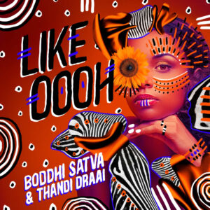 Boddhi Satva & Thandi Draai - Like Oooh (Long Edit)