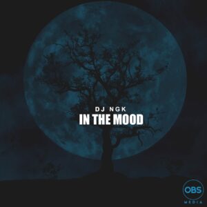 Dj NGK - Am In The Mood (AfroDrum Mix)