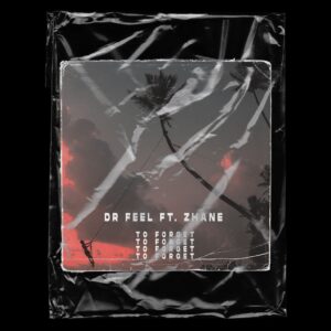 Dr Feel - To Forget (feat. Zhane)