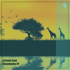 LuToniq Soul - Amaphupho EP