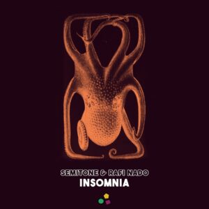 Semitone & Rafi Nado - Insomnia (Original Mix)