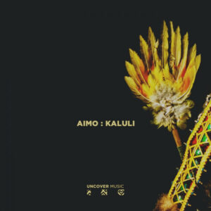 Aimo - Kaluli (Original Mix)