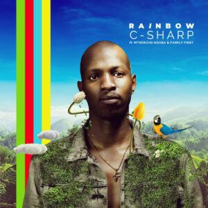 C-Sharp, Mthokozisi Ndaba, Family First - Rainbow (Original Mix)