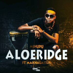 Mshudu - Aloeridge (feat. Makhalafilm)