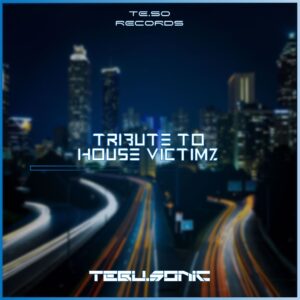 Tebu.Sonic - Tribute to House Victimz