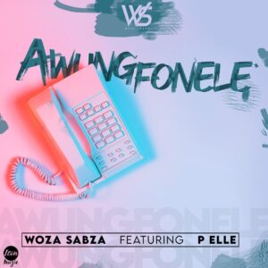 Woza Sabza - Awungfonele (feat. P Elle)