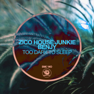 Zico House Junkie & Benjy - Too Dark To Sleep (Original Mix)
