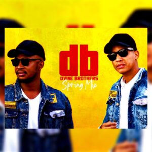 Dvine Brothers - Spring Mix 2020