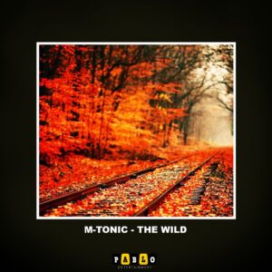 M-Tonic - The Wild (Original Mix)