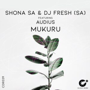 Shona SA & DJ Fresh (SA) feat. Audius - Mukuru (Original Mix)