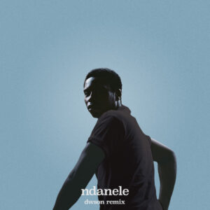 Bongeziwe Mabandla - ndanele (Dwson Remix)