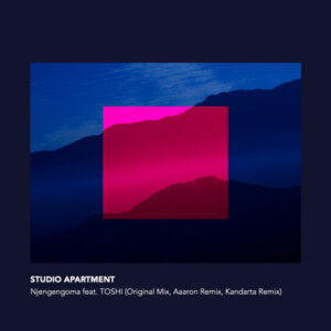 Studio Apartment - Njengengoma (feat. TOSHI)
