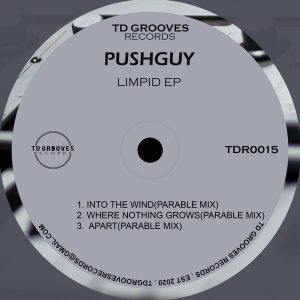 Pushguy - LIMPID EP