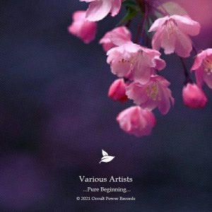 VA - Pure Beginning, Vol. 1