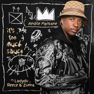 Andile Mpisane - It's Too Much Sauce (feat. LadyDu, Reece & Zuma)