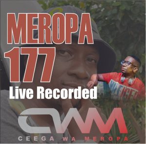 Ceega - Meropa 177 (The Only Truth Is Music)