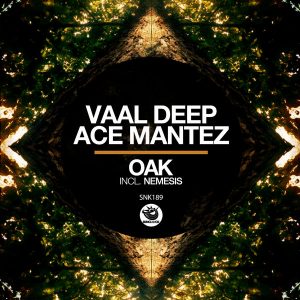 Vaal Deep & Ace Mantez - Oak (Original Mix)