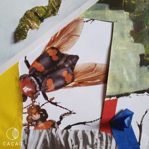 Cee ElAssaad, KEENE - Butundaile EP