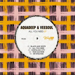 Aquadeep & Veesoul - All You Need EP