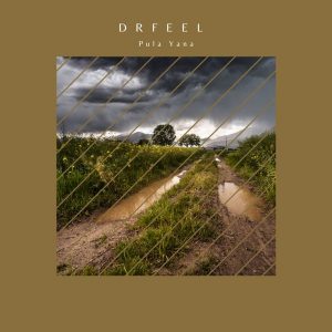 Dr Feel - Pula Yana (Original Mix)