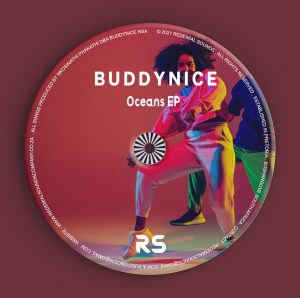 Buddynice - Idlozi Lam' (Redemial Mix)