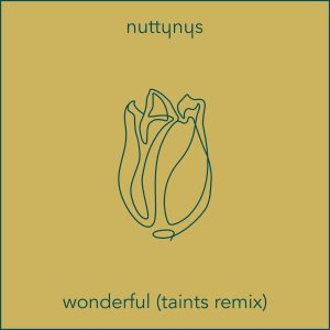 Nutty Nys - Wonderful (Taints Remix)