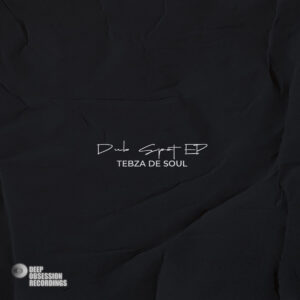 Tebza De SouL - Dub Spot EP