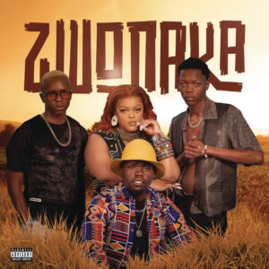 Mellow & Sleazy, DBN Gogo & Dinho - Zwonaka