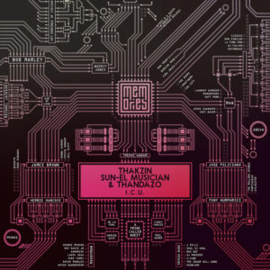 Thakzin, Sun-El Musician & Thandazo - I.C.U