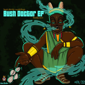 Buddynice - Bush Doctor EP