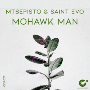Mtsepisto & Saint Evo - Mohawk Man (Original Mix)