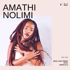 Dino & Terry, Nomvula SA - Amathi Nolimi