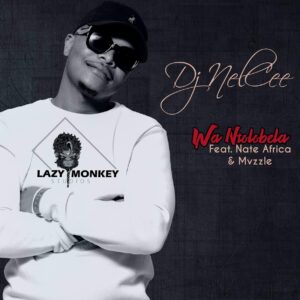 Dj NelCee - Wan'tolobela (feat. Nate Africa & Mvzzle)
