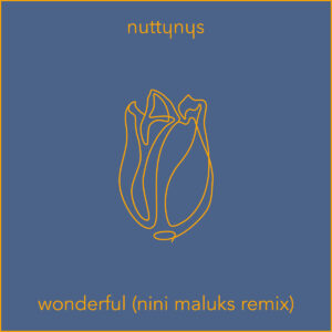 Nutty Nys - Wonderful (Nini Maluks Remix)